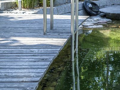schwimmteiche-5.jpg